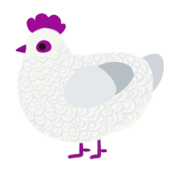 Justice, a white and mist chicken with a double-lace pattern