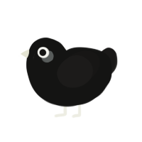 Toodles, a black and sable chicken