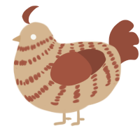 A beige and russet chicken with a bar pattern