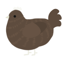 Branch, a bark chicken with a bar pattern