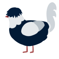 Mr Deadman, a tumblr and mist chicken with a head pattern