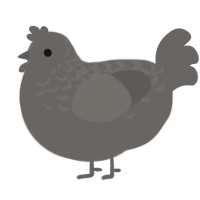 rock, a grey chicken with a half-lace pattern