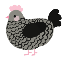 Bollum, a ash and black chicken with a lace pattern