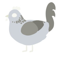Greyscale, a mist and ash chicken with a neck-speckle pattern