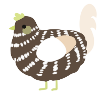 Macchiato, a bark and cream chicken with a bar pattern