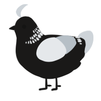 Lambawkghini, a sable and mist chicken with a neck-band pattern