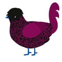 A black and wine chicken with a double-lace pattern