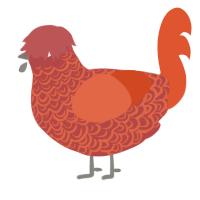 raw, a red and vermilion chicken with a double-lace pattern