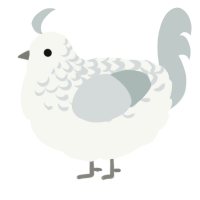 A white and silver chicken with a half-lace pattern