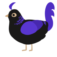 Petroica, a sable and indigo chicken with a neck-band pattern