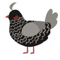 A sable and ash chicken with a lace pattern