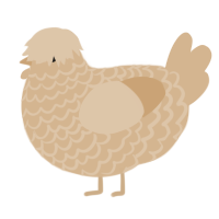 Bread, a beige chicken with a lace pattern