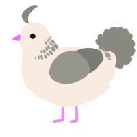 uhh, a cream and ash chicken with a neck-band pattern