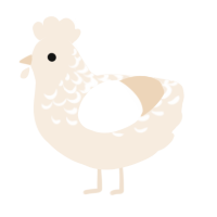 crem, a cream chicken with a half-lace pattern