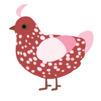 Light StrawBerry, a red and rose chicken with a speckle pattern