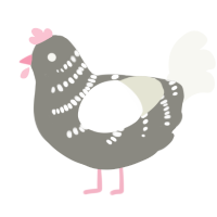 A ash and white chicken with a half-bar pattern