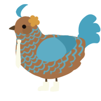 Athenias, a brown and sky chicken with a lace pattern