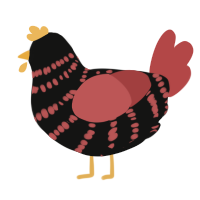 (unnamed), a black and red chicken with a bar pattern