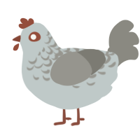 Rock n dirt, a silver and ash chicken with a half-lace pattern