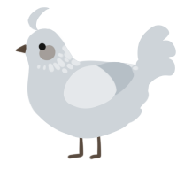 A mist chicken with a neck-speckle pattern