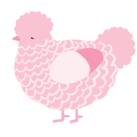 Rose Champagne, a rose chicken with a lace pattern