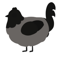 A grey and black chicken with a head pattern