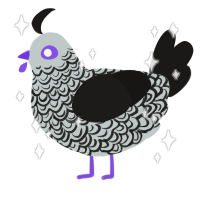 Midnight Ruffles, a silver and sable chicken with a double-lace pattern