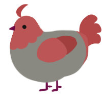 A ash and red chicken with a head pattern