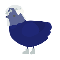 Mume, a navy chicken with a head pattern