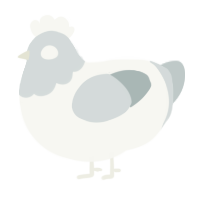 OLD MAN-, a white and silver chicken with a head pattern