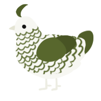 A white and olive chicken with a lace pattern