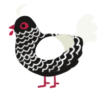 (unnamed), a sable and white chicken with a lace pattern
