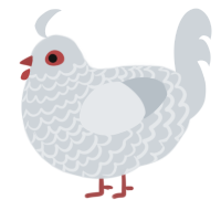 (unnamed), a mist chicken with a lace pattern