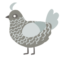 Ash, a ash and silver chicken with a lace pattern