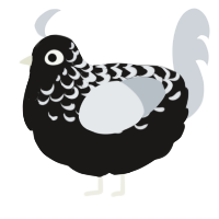 Yugami Jin, a sable and mist chicken with a half-lace pattern
