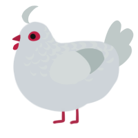 pink eye, a mist and silver chicken with a half-lace pattern