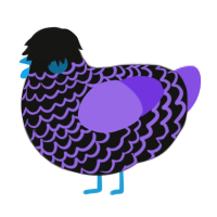 (unnamed), a black and blurple chicken with a lace pattern