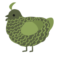 Tess, a olive and chartreuse chicken with a lace pattern