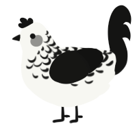 Black Lace, a white and black chicken with a half-lace pattern
