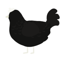 (unnamed), a black and sable chicken with a half-lace pattern