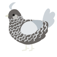 (unnamed), a grey and mist chicken with a lace pattern