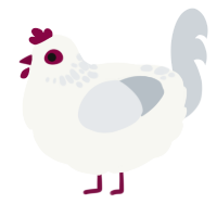 A white and mist chicken with a neck-speckle pattern