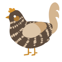 Taka, a bark and beige chicken with a bar pattern