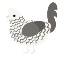 A white and grey chicken with a lace pattern