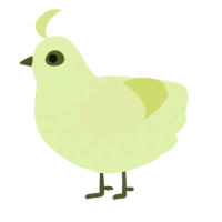 Key Lime Pie, a apple and lemon chicken with a speckle pattern
