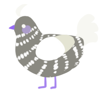 (unnamed), a ash and white chicken with a bar pattern