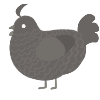 rock, a grey chicken with a lace pattern