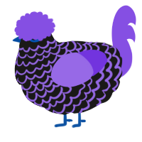 Enderman, a sable and blurple chicken with a lace pattern