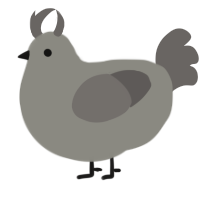 Bramble, a ash and grey chicken