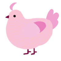 (unnamed), a rose and pink chicken with a lace pattern